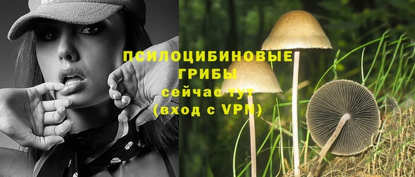 мяу мяу мука Липки