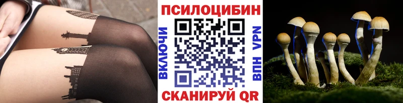 магазин продажи наркотиков  Чишмы  Галлюциногенные грибы Magic Shrooms 